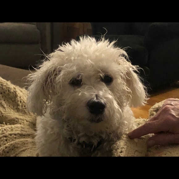 Meet your Posher, Sarah - Picture 1 of 1